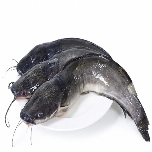 Frozen CatFish