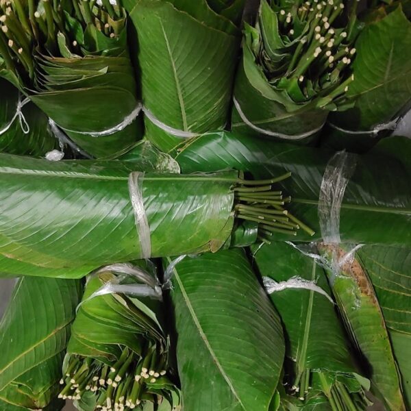 2bunches Moimoi Leaf