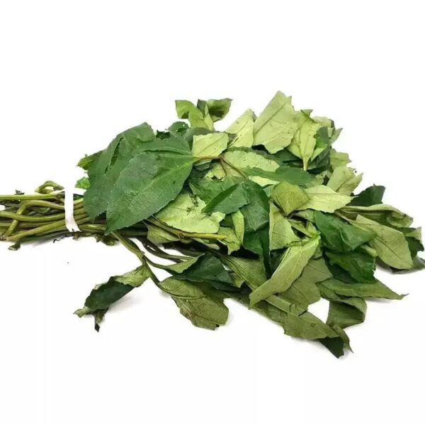 1/2box[5bunches] Shoko