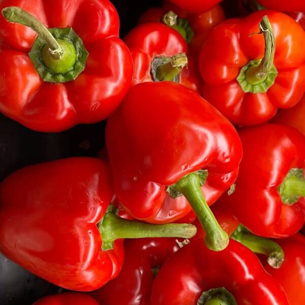 Red Bell Pepper